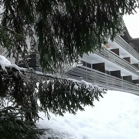 Apartmenthaus Panorama Apartment Seefeld in Tirol